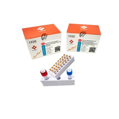 中国 Circovirusのブタのタイプ2ブタDNAテスト キットPCRの核酸テストMicgene 販売のため