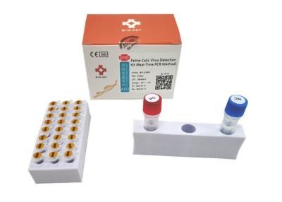 China FCV Feline Calici Virus PCR Kit  Real Time Feline Cat Test Kit Quantitative for sale
