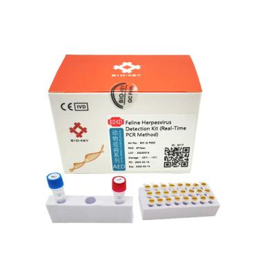 China Nucleic Acid Feline Herpesvirus Test FHV RT Cat Genetic Testing Kit Fluorescence for sale