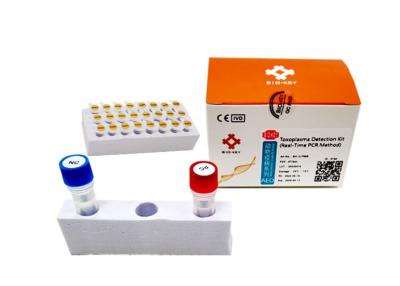 China Polimerización en cadena felina Taqman de la prueba de ácido de FeTOX Cat Test Kit Toxoplasma Nucleic en venta