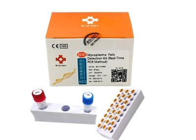 China Nucleic Acid Mycoplasma Detection Kit MFV Real Time Quantitative PCR for sale