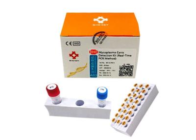 Cina CMV corredo di Kit Quantitative Canine Dog Test di rilevazione di PCR del micoplasma del canino in vendita