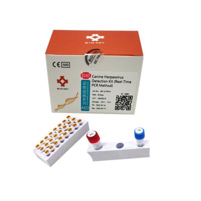 China Taq Polymerase Canine Dog Test Kit PCR Canine Herpes Virus Test Fluorescence for sale