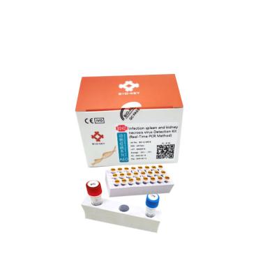 China Infectious Myonecrosis Virus Dna Amplification Kit IMNV Nucleic Acid Detection Kit for sale
