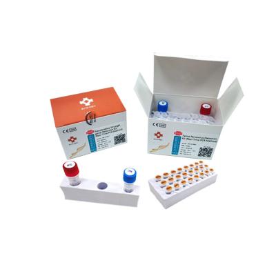 China Van de de Testuitrusting van FPV Katachtige Panleukopenia PCR FCoV Test Kit Real Time Te koop