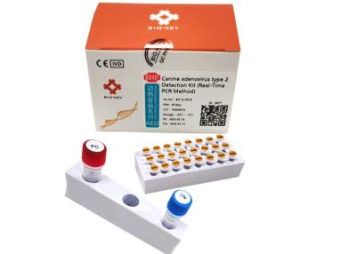 China ISO13485 Canine Adenovirus Pcr Test Type II Taq Ploymerase Dog DNA Test Kit for sale