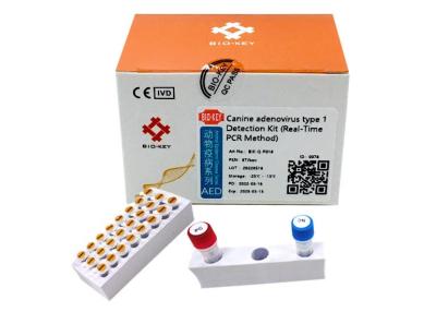 China Canine Adenovirus Test Kit TypeⅠ Canine Dog Test Kit Taq Polymerase DNA PCR for sale