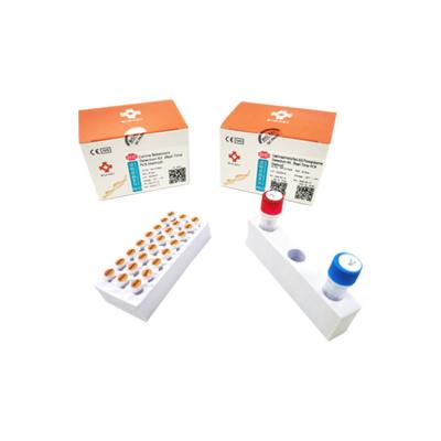 China Real Time Leptospirosis Rapid Test Kit Taqman Probe Toxoplasma Test Kit for sale