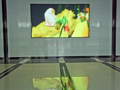 China Pequeña pantalla de visualización video llevada interior de espaciamiento del lanzamiento del anuncio de la pared P1.667 en venta