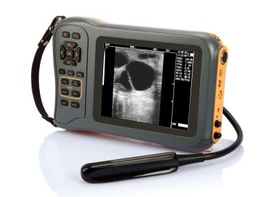 Chine Machine noire et blanche tenue dans la main d'ultrason d'ultrason d'animal familier portatif vétérinaire de scanner à vendre