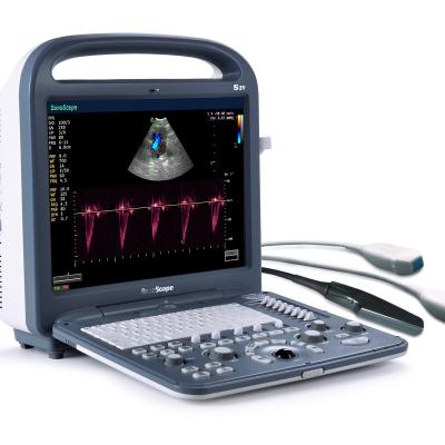 China Color Doppler Portable Ultrasound Scanner 15 Inch High Resolution LCD For Veterinary for sale