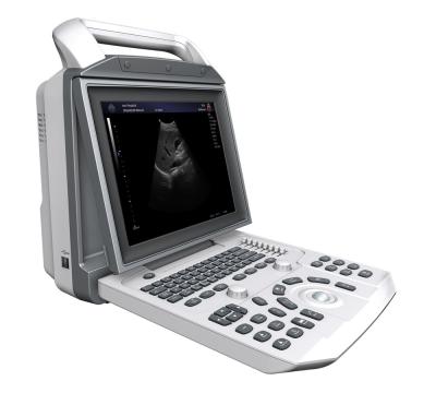 China Resolution 800*600 12 Inch Portable Ultrasound Scanner for sale