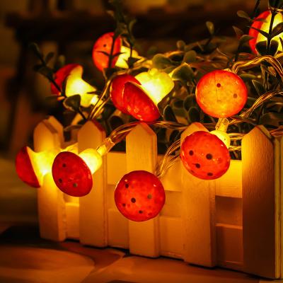 China Mushroom String Lights Battery Powered LED and USB Silver Wire for Girls Bedroom Nursery Party Patio Fence Plants Decor for sale