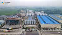 Chine Petit variété 10-1000TPD graine traiter la chaîne de production fortement automation à vendre