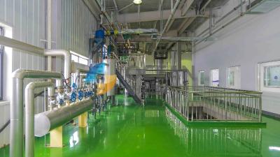 中国 ココナッツ油のプレス工場のアボカド オイルの処理機械容易な操作 販売のため