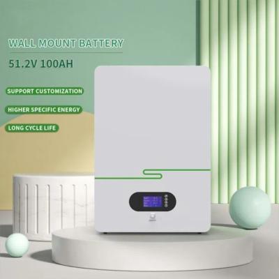 China Home Solar Wall Mounted Energy Storage Battery LiFePO4 Battery Hybrid System for sale