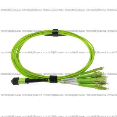 China MPO - 8xLC Fiber Patch Cord Multimode OM5 8F 3.0mm LSZH MPO Fiber Cable for sale