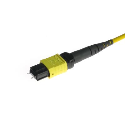 China Elite Mpo To Mpo Cable 24 Connector Male Gender Os2 Fiber Patch Leads for sale