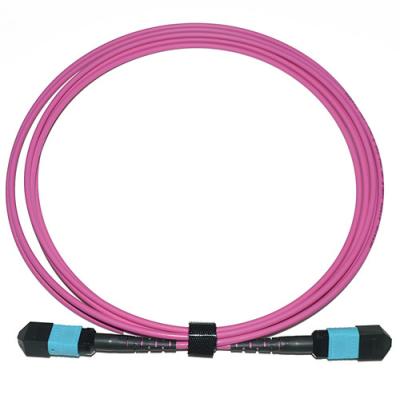 China 100G MPO MTP Male MM Low Insertion Loss 3.0mm Trunk 12C Fiber Optic Patchcord for sale