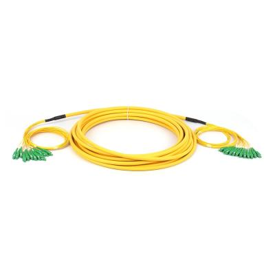 China SC/APC - SC/APC Breakout Fiber Cable Singlemode SM 12 Cores Fiber Optic Patchcord for sale