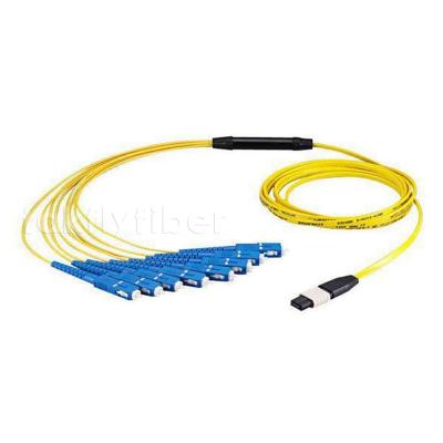 China MPO Fan Out Cable MTP F - SC OM3 12/24/48 Core Fiber Optic Patchcord for sale