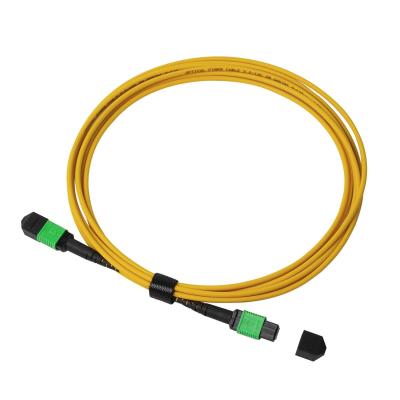China cable LSZH del tronco de la fibra de 8F 12F 24F MTP MPO para 10G 40G 100G 400G en venta