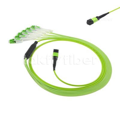 China MPO MTP Male / Female Fiber Patch Cord Cable OM5 OM4 MPO Fiber Optic Cable en venta