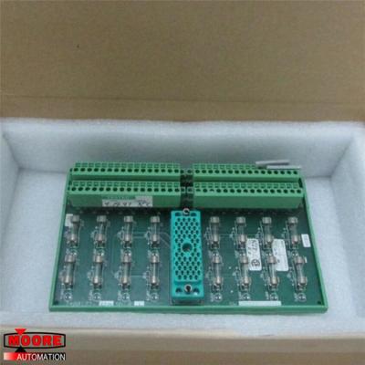 China 9668-110NJ Triconex DCS Module Contant Termination Relay Output Panel for sale