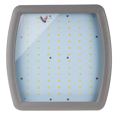 China Safe Work Ip68 Led Spotlight 100w Corrosion Resistant Light Fixtures for sale