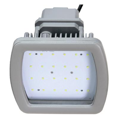 China 116lm/W Led Explosion Proof Light Portable 40w 3480lm Aluminum for sale