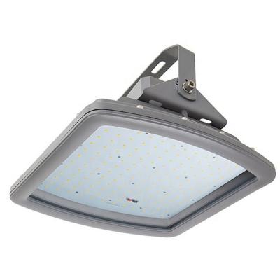 China 0.98 Led Explosion Proof Light Fixture 100W Meanwell Battery for sale