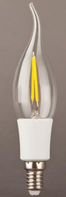 China E14 LED filament flame candle light 4W for sale