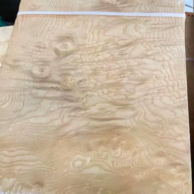 China 0.50mm Paper Backed Veneer Natural American White Ash Burl Wood Coverings for sale