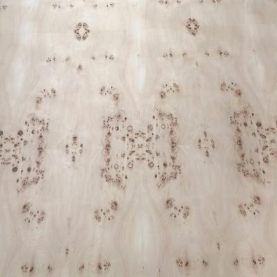 China Folha de revestimento de madeira Mappa Burl, contraplacado natural para mobiliário de piso à venda