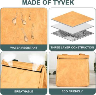 China Bolsa de papel marrón de Kraft reutilizable Bolsa de comida de papel marrón aislada Tyvek en venta