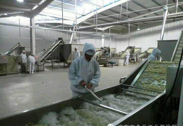 Verified China supplier - QINGDAO YUANHAOWEIYE I& E CO.LTD.