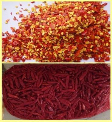 China DRY CHILLI CRUSHED (CHAOTIAN CHILLI) for sale