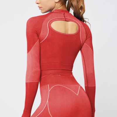 China Ebay Amazon Ins line Jacquard seamless knitting long-sleeved gradient hollowed out fitness long-sleeved yoga clothes for sale