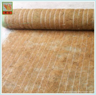 China Bilateral Oriented Plastic Nets for Erosion Control Blankets, Polypropylene Netting for Coconut Blankets for sale