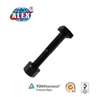 China ISO Certificated Square Head Bolt for sale