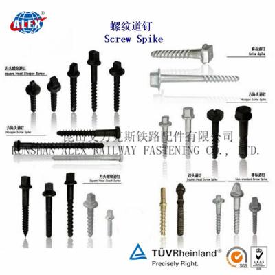 China Supplier Rail Screw Spikes ss8 for sale
