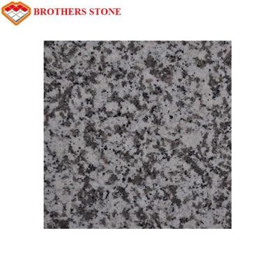 China G439 White Granite Tiles Cut To Size For Granite Bathroom Countertop for sale
