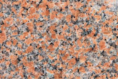 China Pulido/afiló con piedra las tejas de la piedra del granito G562, losa roja del granito de la hoja de arce en venta