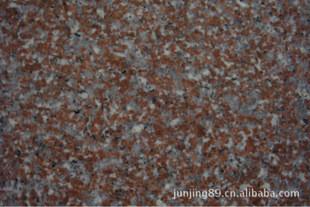 Chine Les tuiles rouges ultra grandes de pierre du granit G562, salle de bains de granit couvre de tuiles la texture dure à vendre