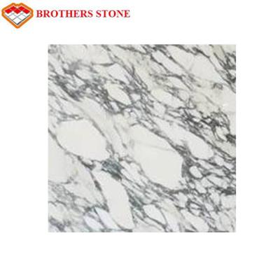 China Laje de pedra de mármore branca do mármore de Itália Arabescato Corchia para a bancada da bacia do banheiro à venda