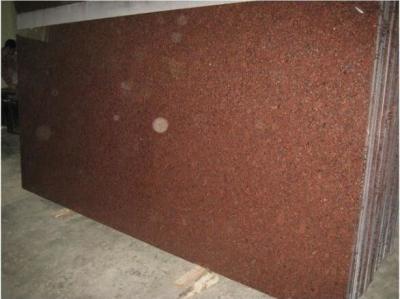 China Granito vermelho lustrado natural da superfície G562 para a telha do revestimento 600X600 da parede à venda