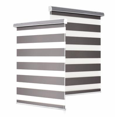 China Free Sample Customized Automatic Motorized Zebra Blinds For Window for sale