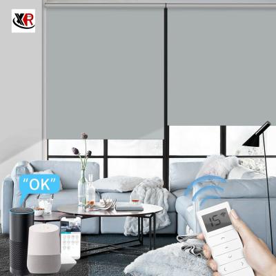 Chine French Window Motorized Roller Blinds Narrow Blade Horizontal Pattern à vendre