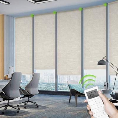 China Tubular Motor  Smart Roller Blinds Electric Blackout Shades  Chain Control for sale