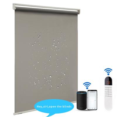 Chine School Home Grey Automatic Roller Shades Remote Control Roller Blinds à vendre